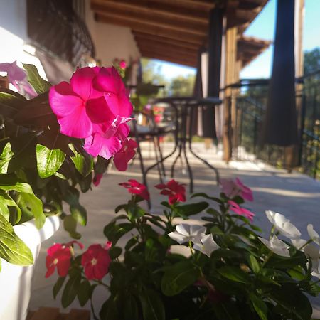 سوزوبولي Vergia Studios المظهر الخارجي الصورة
